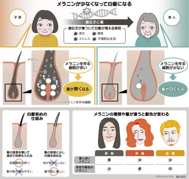 どうして年を取ると白髪ができるの Nikkei Style どうして年を取ると白髪ができるの Nikkei Style