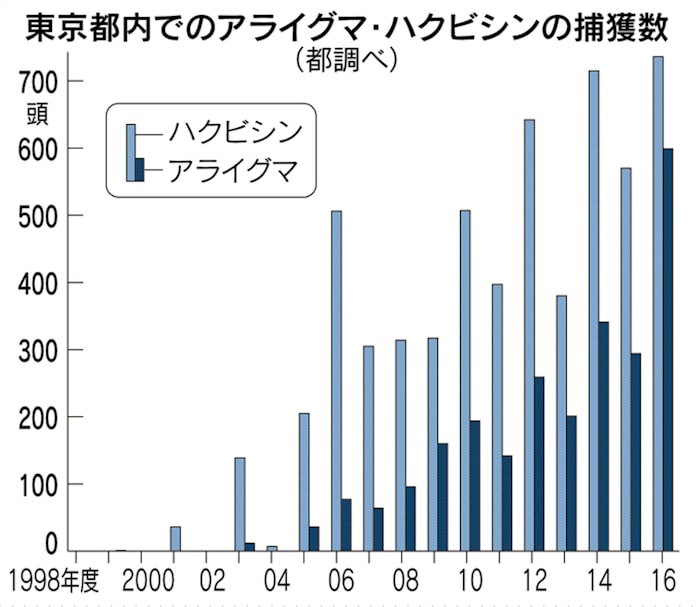 アライグマ 都心すみかに 荒い気性 空き家で繁殖 日本経済新聞