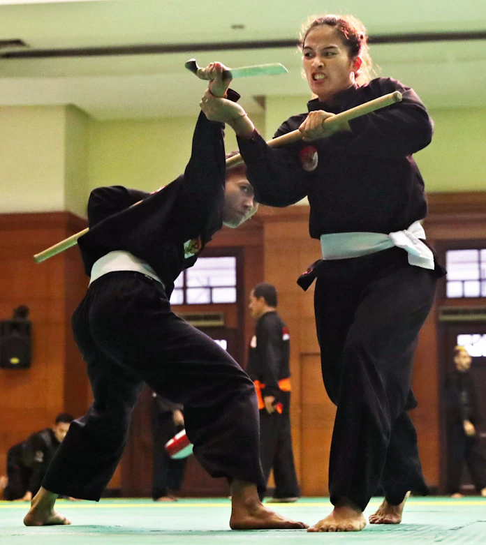 最強の格闘技 再び脚光 インドネシア 日本経済新聞 最強の格闘技 再び脚光 インドネシア 日本経済新聞