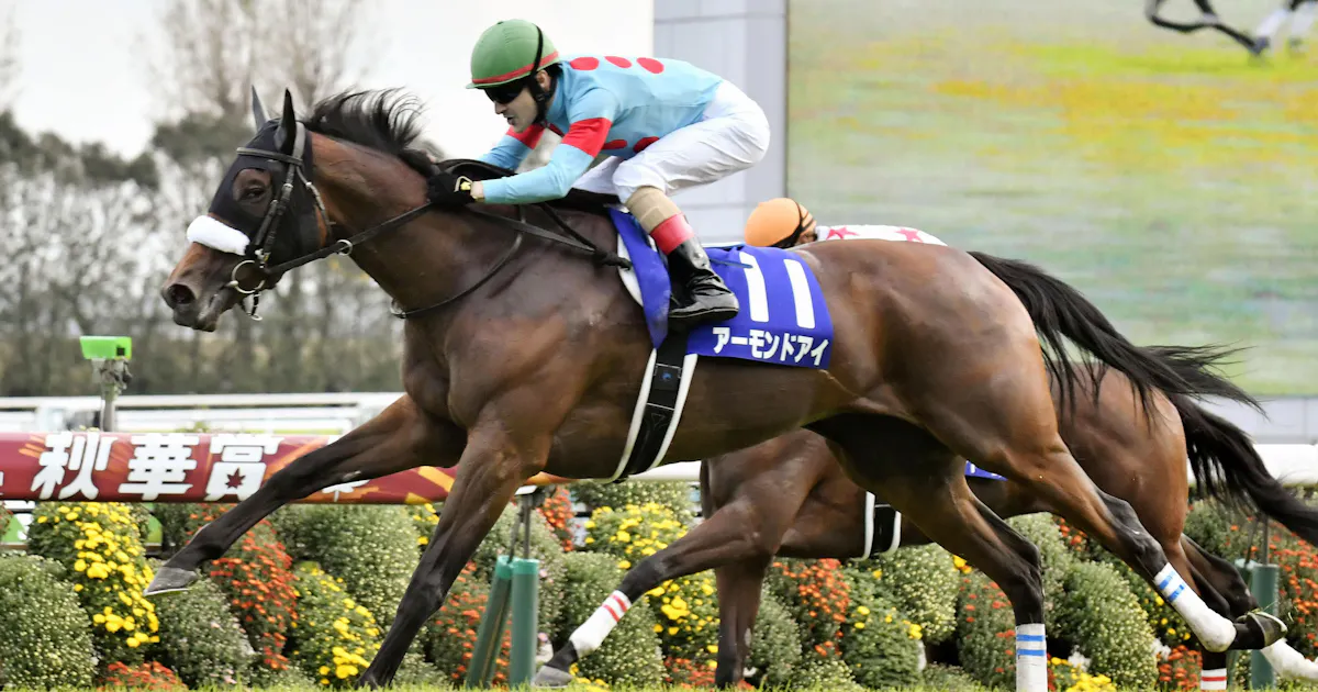 現在の日本競馬を象徴 独り勝ち の光と影 日本経済新聞