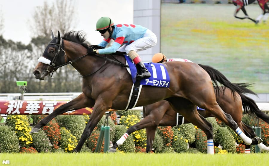 実況アナが選んだ18年の中央競馬5大ニュース 日本経済新聞