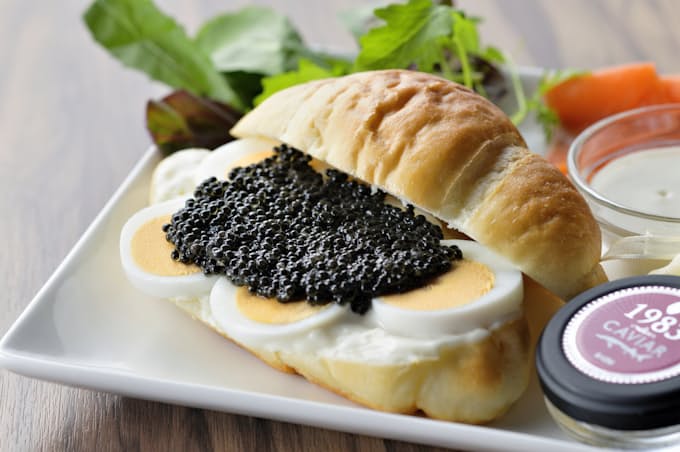 宮崎産キャビアたっぷり 6800円ハンバーガー 日本経済新聞 宮崎産キャビアたっぷり 6800円ハンバーガー 日本経済新聞