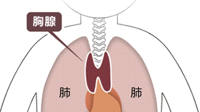 12年前の乳児虐待死 法医学の蓄積が逮捕の決め手に 日本経済新聞 12年前の乳児虐待死 法医学の蓄積が逮捕の決め手に 日本経済新聞