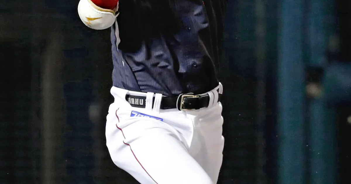 月給10万円からの出発 独立リーグで見る夢 日本経済新聞 月給10万円からの出発 独立リーグで見る夢 日本経済新聞