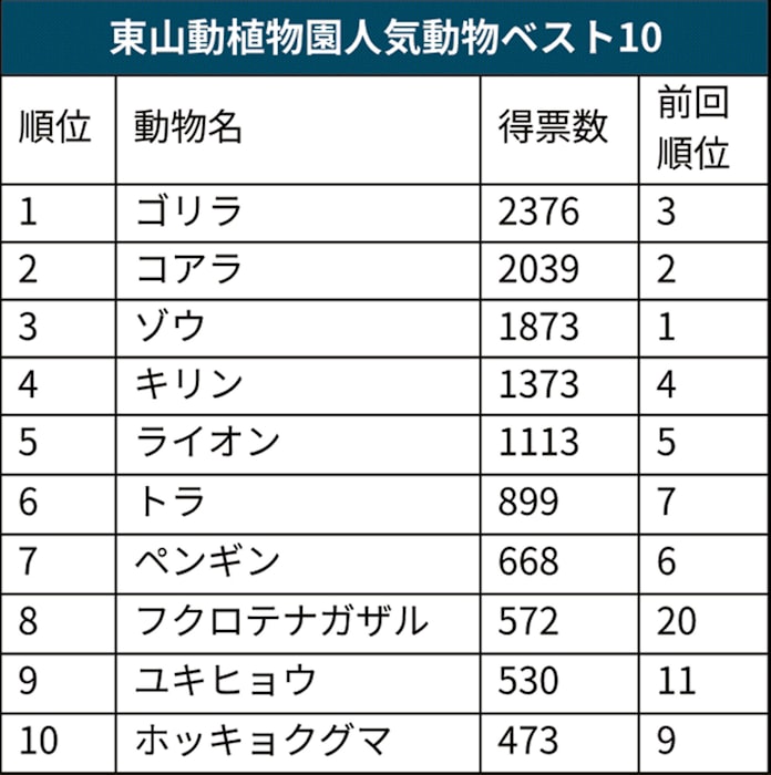 ゴリラ46年ぶり首位奪還 東山動植物園で人気投票 日本経済新聞 ゴリラ46年ぶり首位奪還 東山動植物園で人気投票 日本経済新聞