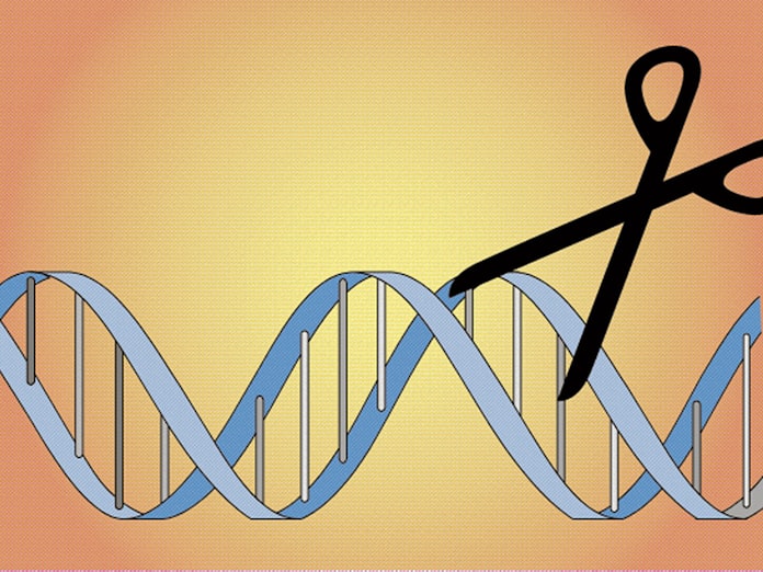ゲノム編集食品 今夏にも流通 厚労省が了承 日本経済新聞