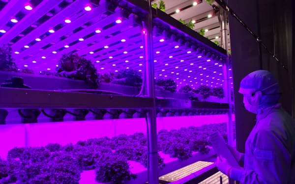 プライム デリカ コロナ コロナ プライム デリカ