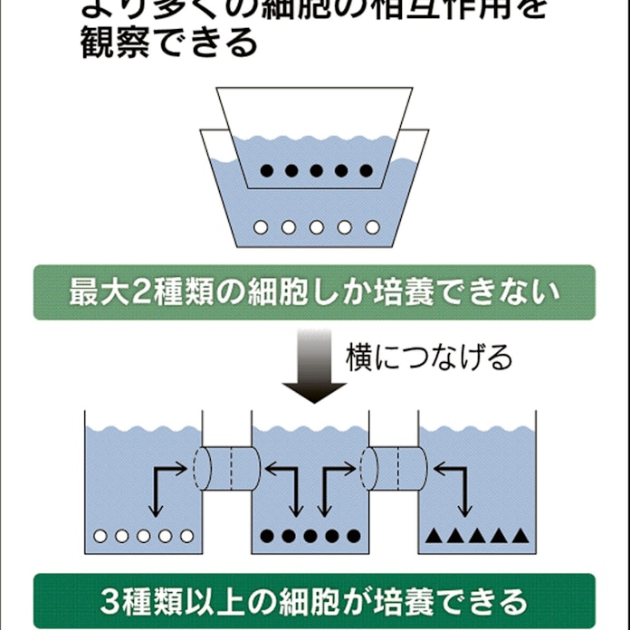複数の細胞を同時に培養 金沢医大発のギンレイラボ 日本経済新聞