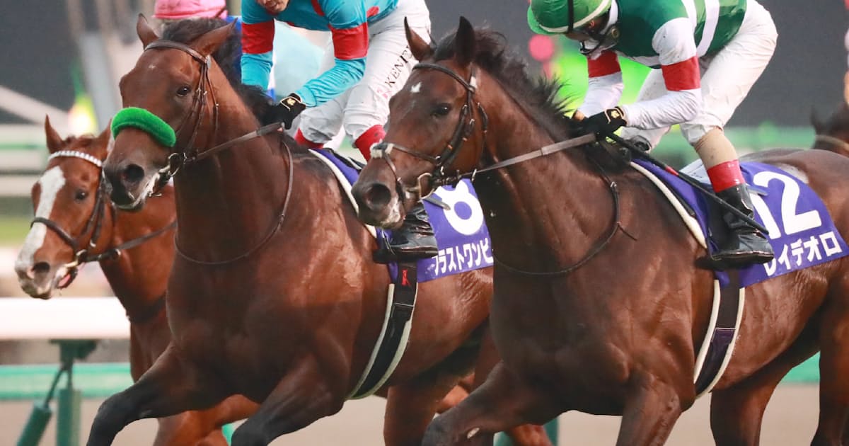 ブラストワンピース有馬記念v レイデオロ抑える 日本経済新聞 ブラストワンピース有馬記念v レイデオロ抑える 日本経済新聞