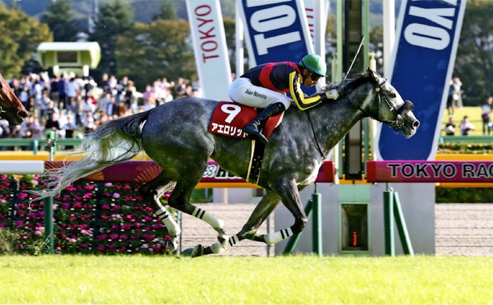 慢心はなかったか 海外g1ゼロ勝という警告 日本経済新聞 慢心はなかったか 海外g1ゼロ勝という警告 日本経済新聞
