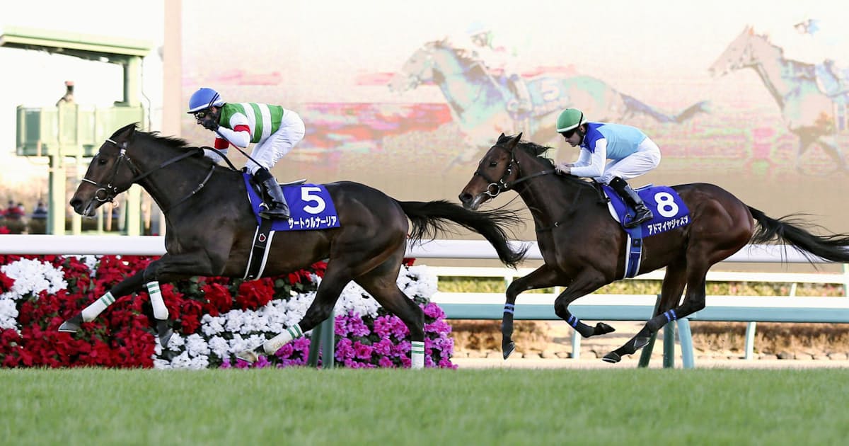 早熟化 が活力そぐ 2歳戦強化への懸念 日本経済新聞