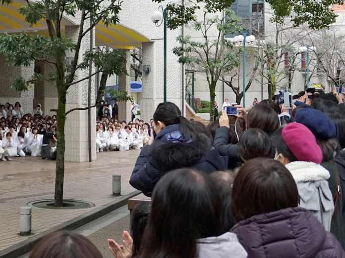 宝塚ファン 愛ゆえの統率 私設組織 運営に協力 もっと関西 日本経済新聞 宝塚ファン 愛ゆえの統率 私設組織 運営に協力 もっと関西 日本経済新聞