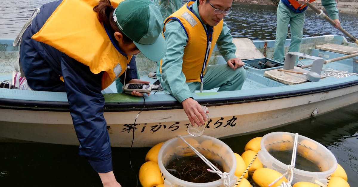 水草が救世主 水道のカビ臭抑制 神戸市が実用化へ 日本経済新聞 水草が救世主 水道のカビ臭抑制 神戸市が実用化へ 日本経済新聞