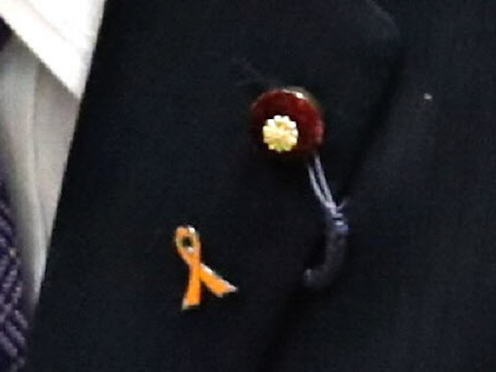 バッジもいろいろ 写真でみる永田町 日本経済新聞 バッジもいろいろ 写真でみる永田町 日本経済新聞