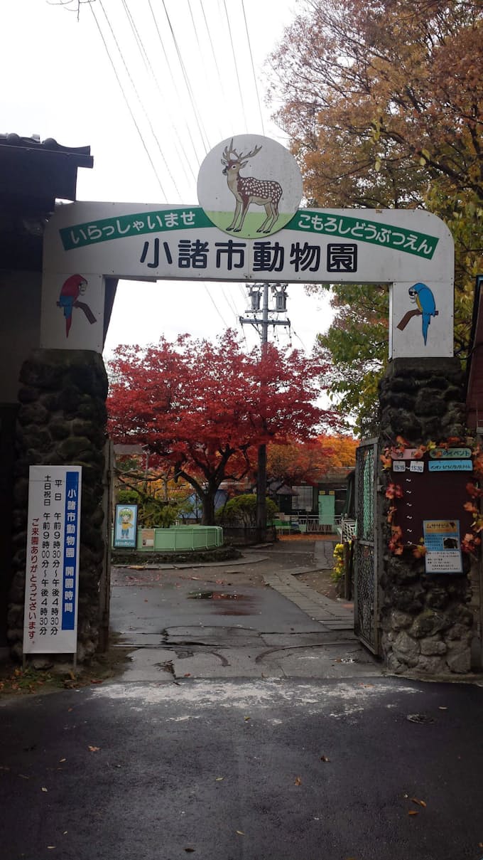 長野県小諸市 老朽化した動物園を再整備 日本経済新聞