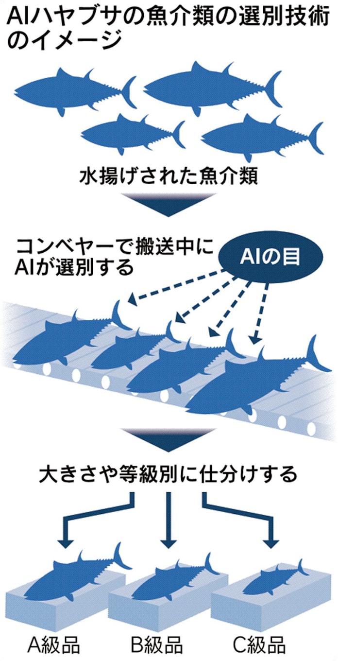 魚介類の選別 Aiで自動化 個体ごと情報管理 函館の大学発企業 日本経済新聞 魚介類の選別 Aiで自動化 個体ごと情報管理 函館の大学発企業 日本経済新聞