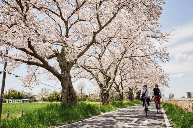 春風と花満喫 レンタサイクルで楽しめる桜名所10選 Nikkei Style 春風と花満喫 レンタサイクルで楽しめる桜名所10選 Nikkei Style