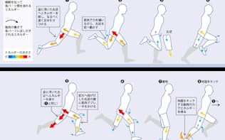 人間の走行中の力学的エネルギーの変化を示した図。体を各パーツに分け、パーツ間での力学的エネルギーのやりとりを示した。図中では右足の動きに注目している。（日本体育大学阿江通良教授・日経サイエンス提供）