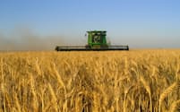 米国では生産者の「小麦離れ」が進む