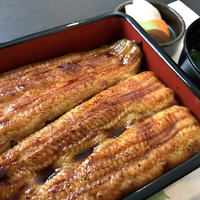 ウナギ稚魚価格5年で2倍に かば焼き 食卓遠く 日本経済新聞 ウナギ稚魚価格5年で2倍に かば焼き 食卓遠く 日本経済新聞