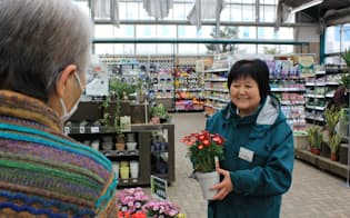 カインズ高森店の園芸コーナーで接客する池野末子さん（80）（長野県高森町）