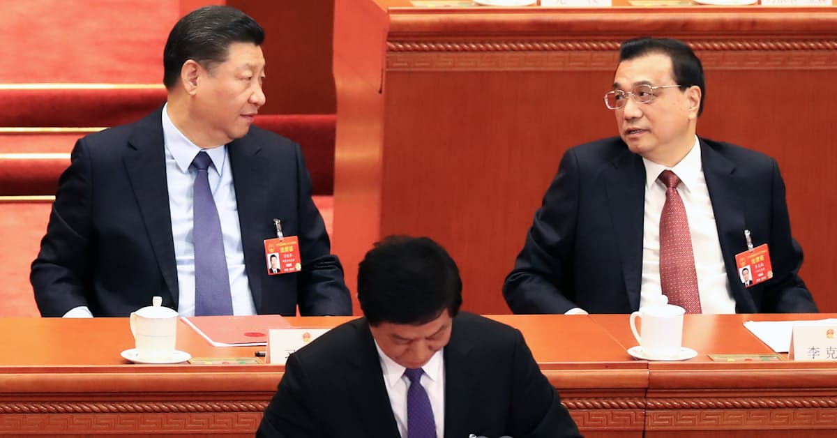 中国の 灰色のサイ どんなリスクのこと 日本経済新聞