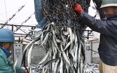 大型船からサンマを水揚げする漁業関係者（29日、北海道根室市）=共同