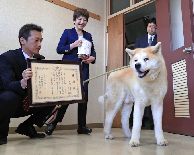 女性救助の秋田犬と飼い主表彰 県警 強い絆で協力 日本経済新聞
