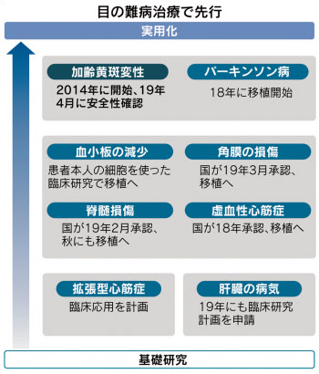 他人のips移植 実用化へ7合目 理研 術後良好 日本経済新聞