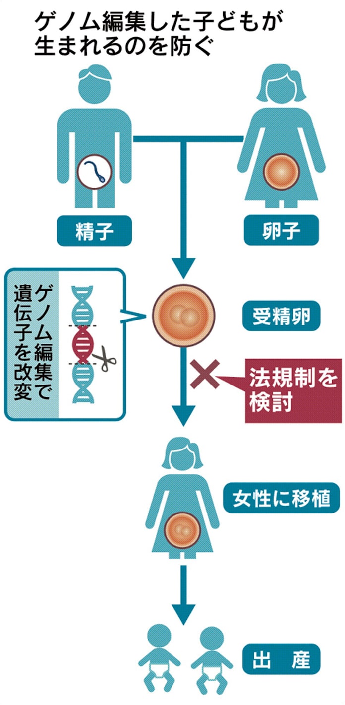 ゲノム編集ベビーを法規制 政府検討 日本経済新聞