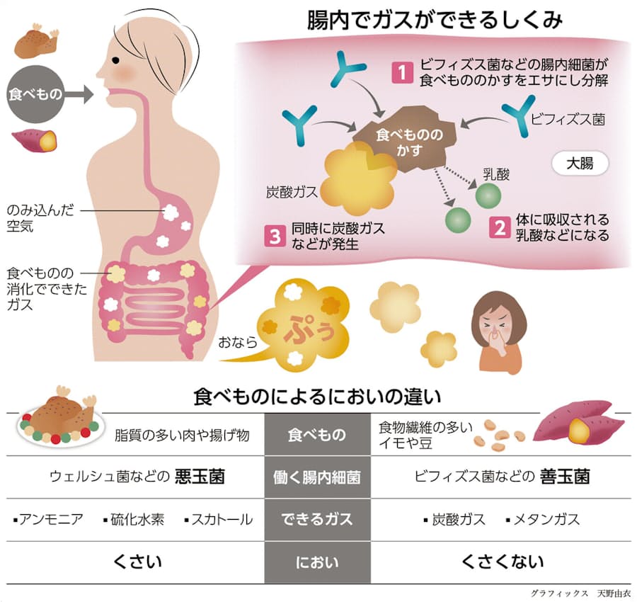 おならはなんで出るの 親子スクール 日本経済新聞