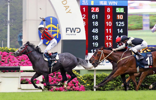 日本馬ウインブライト優勝 香港競馬のqエリザベス2世杯 日本経済新聞