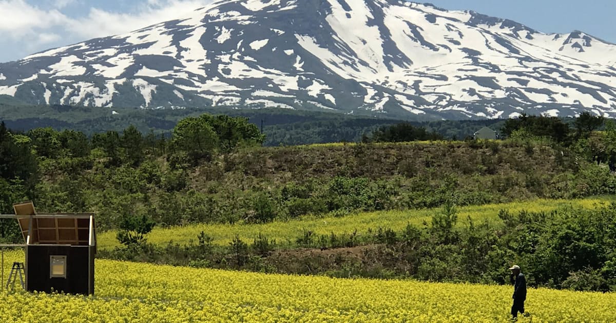 鳥海高原の菜の花 今年で見納め 連作障害で 日本経済新聞 鳥海高原の菜の花 今年で見納め 連作障害で 日本経済新聞