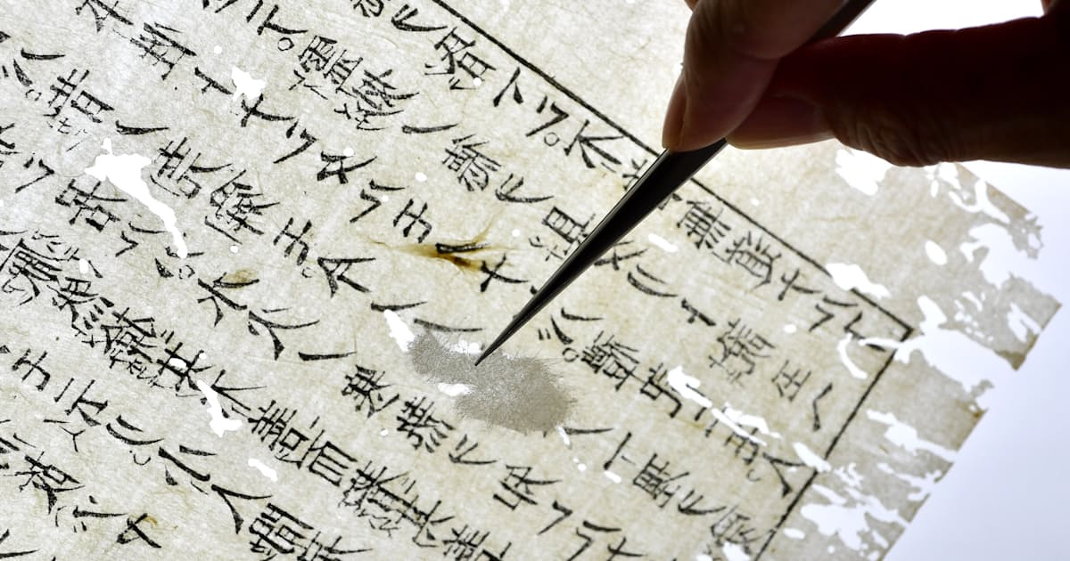和紙虫食いに思いあてがう 和本修復 大入の経師 日本経済新聞 和紙虫食いに思いあてがう 和本修復 大入の経師 日本経済新聞
