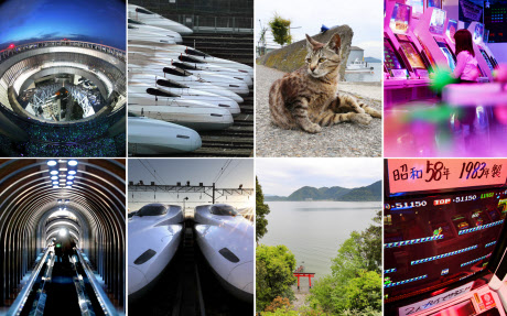 天空の絶景 猫の島 関西のオモロイ 映えスポ 日本経済新聞