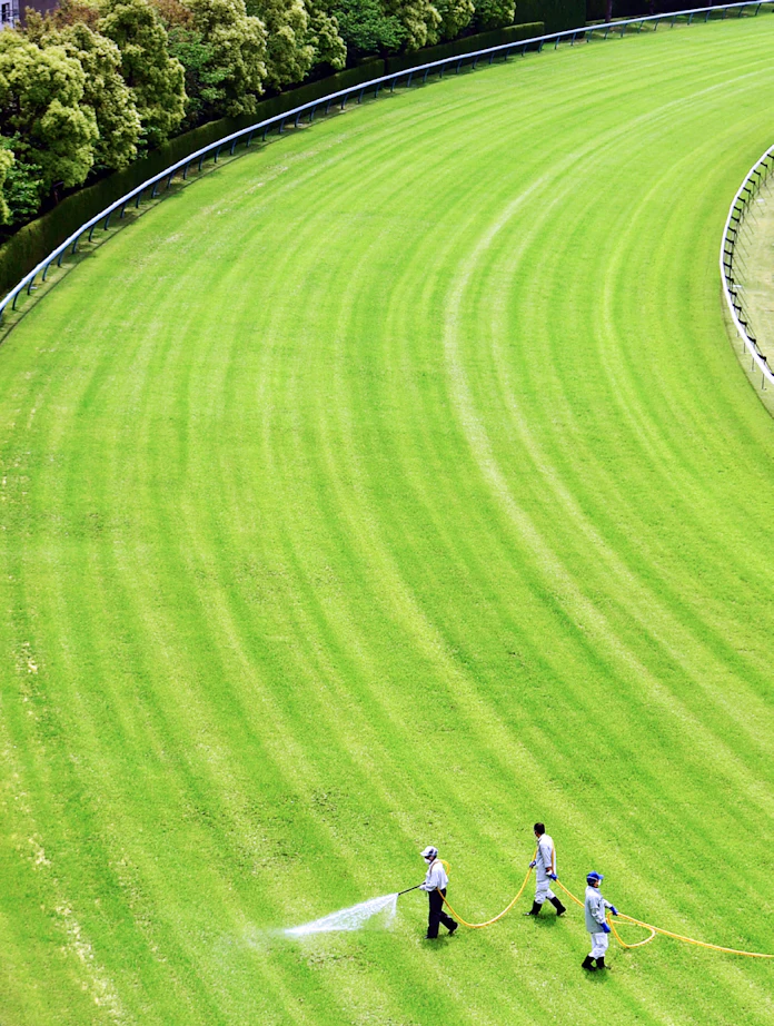 滑らかに 最高の走りを 競馬場の芝管理 日本経済新聞 滑らかに 最高の走りを 競馬場の芝管理 日本経済新聞
