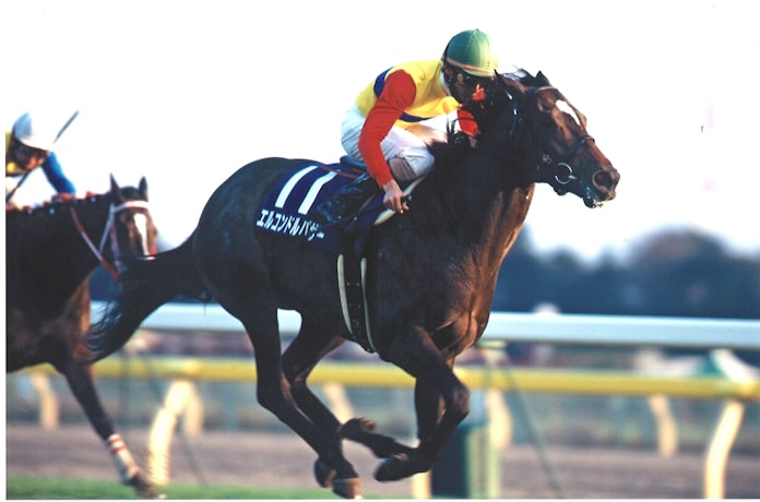 復活 三冠 夢 平成競馬 放送現場で見た名場面 日本経済新聞 復活 三冠 夢 平成競馬 放送現場で見た名場面 日本経済新聞