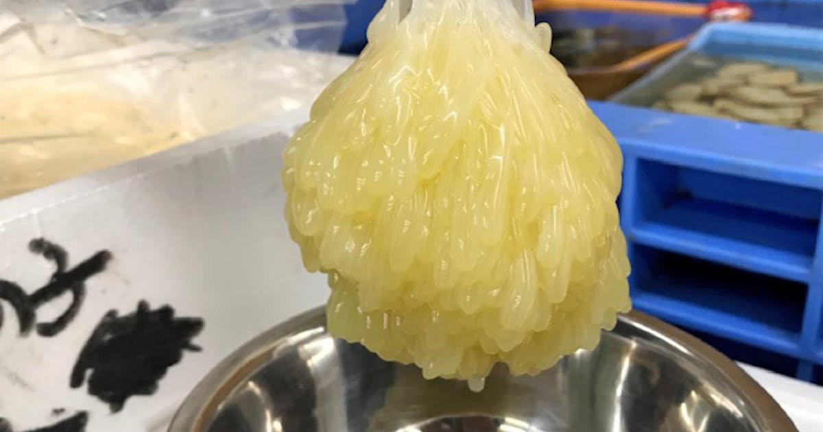 北の珍味たこまんま 姿と味のギャップに驚き 日本経済新聞 北の珍味たこまんま 姿と味のギャップに驚き 日本経済新聞