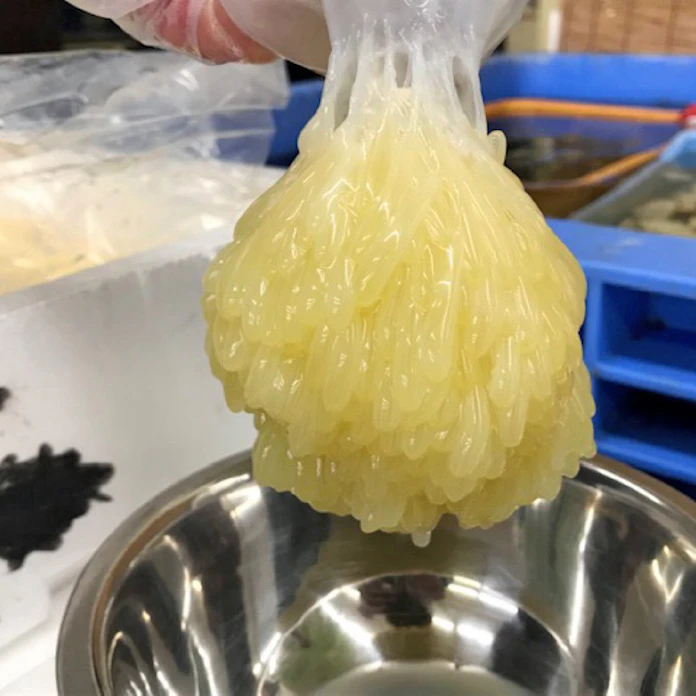 北の珍味たこまんま 姿と味のギャップに驚き 日本経済新聞 北の珍味たこまんま 姿と味のギャップに驚き 日本経済新聞