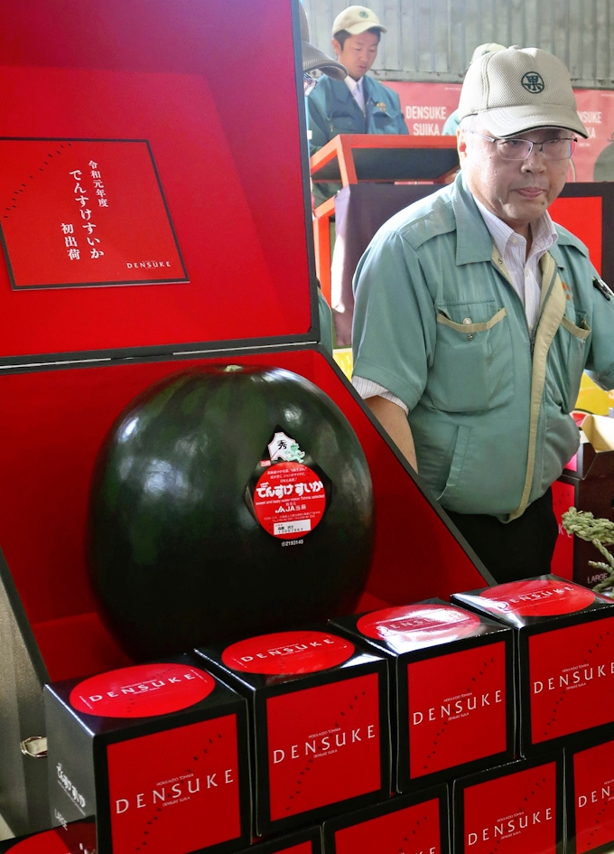 でんすけすいか1玉75万円 過去最高 北海道当麻町産 日本経済新聞