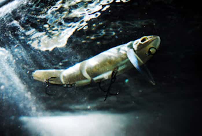 魚の本能 経験で超える ジャッカルのルアー 大津市 日本経済新聞