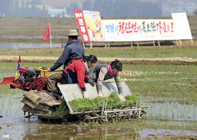 北朝鮮に食糧5万トン支援 韓国政府 日本経済新聞