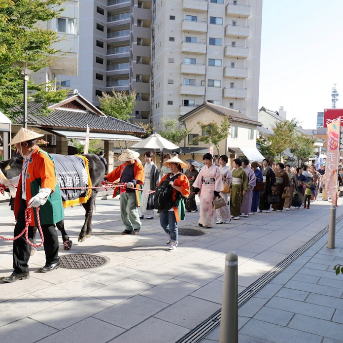 牛に引かれて善光寺参り ツアー 長野市のnpo企画 日本経済新聞 牛に引かれて善光寺参り ツアー 長野市のnpo企画 日本経済新聞