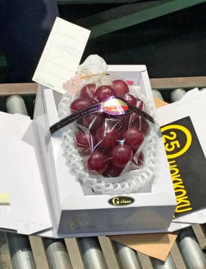 初セリで競り落とされたルビーロマン(9日、金沢市)