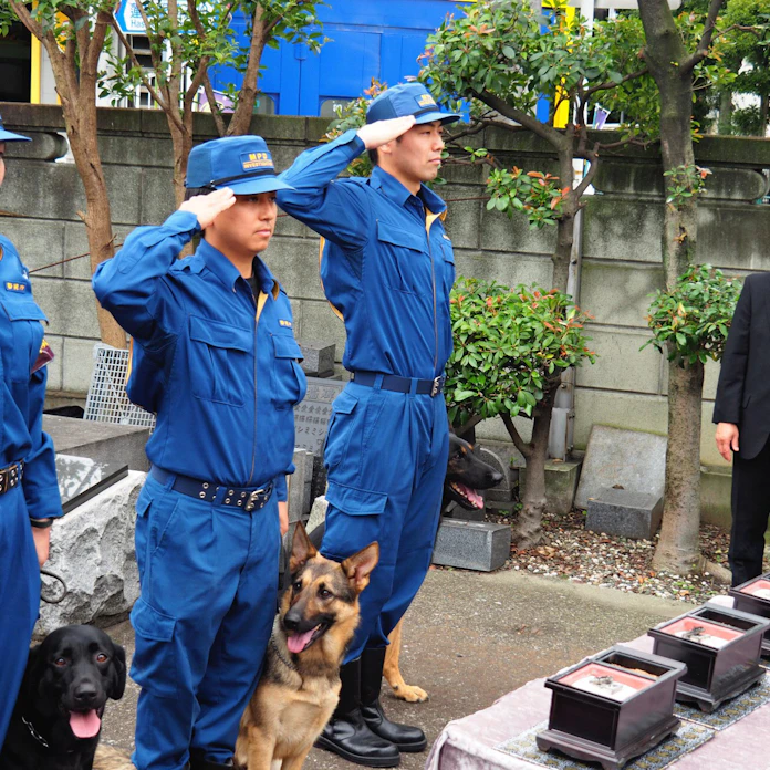 相棒 安らかに 警視庁が警察犬慰霊祭 日本経済新聞 相棒 安らかに 警視庁が警察犬慰霊祭 日本経済新聞