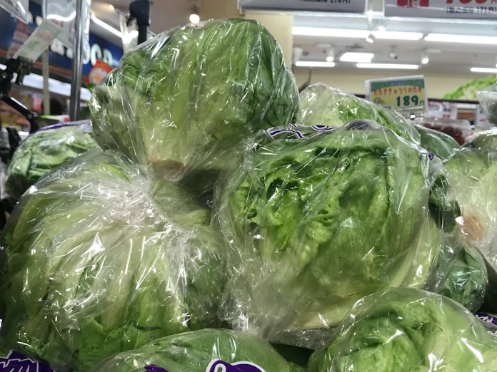 レタスなど野菜5品目値上がり 農水省の小売価格調べ 日本経済新聞 レタスなど野菜5品目値上がり 農水省の小売価格調べ 日本経済新聞
