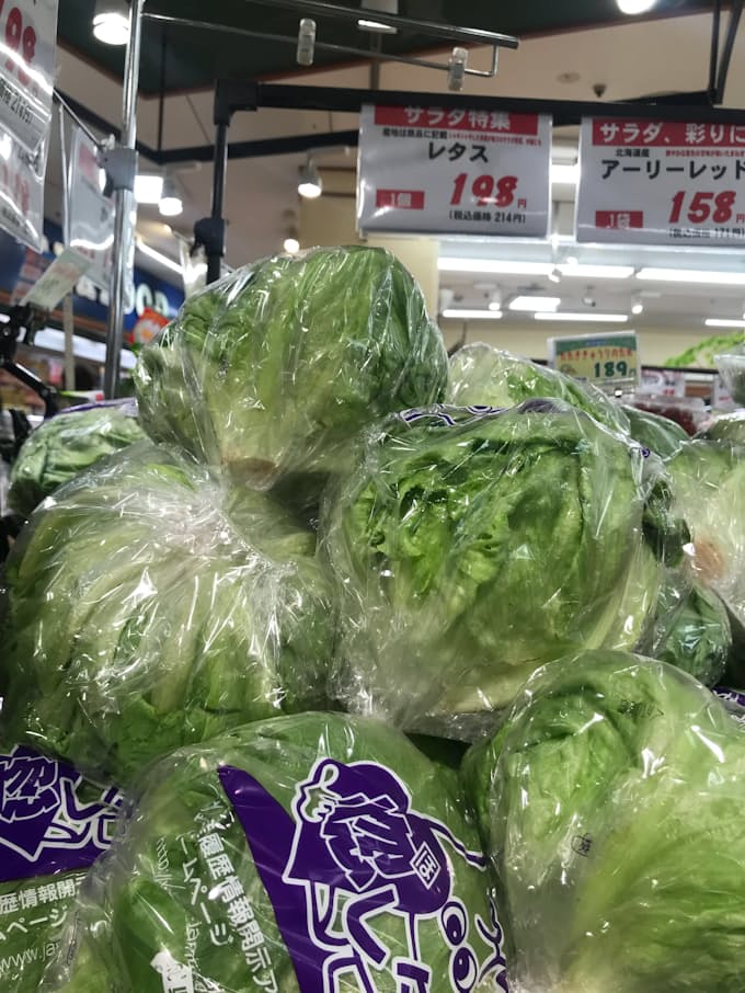 レタスなど野菜5品目値上がり 農水省の小売価格調べ 日本経済新聞