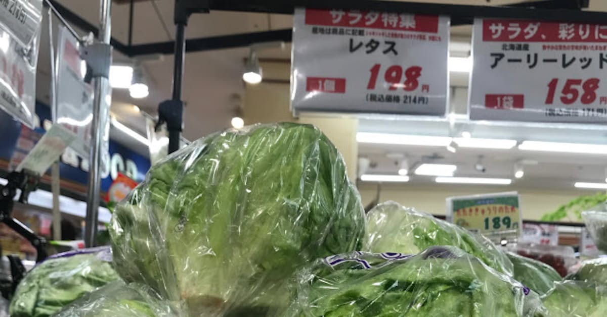 レタスなど野菜5品目値上がり 農水省の小売価格調べ 日本経済新聞
