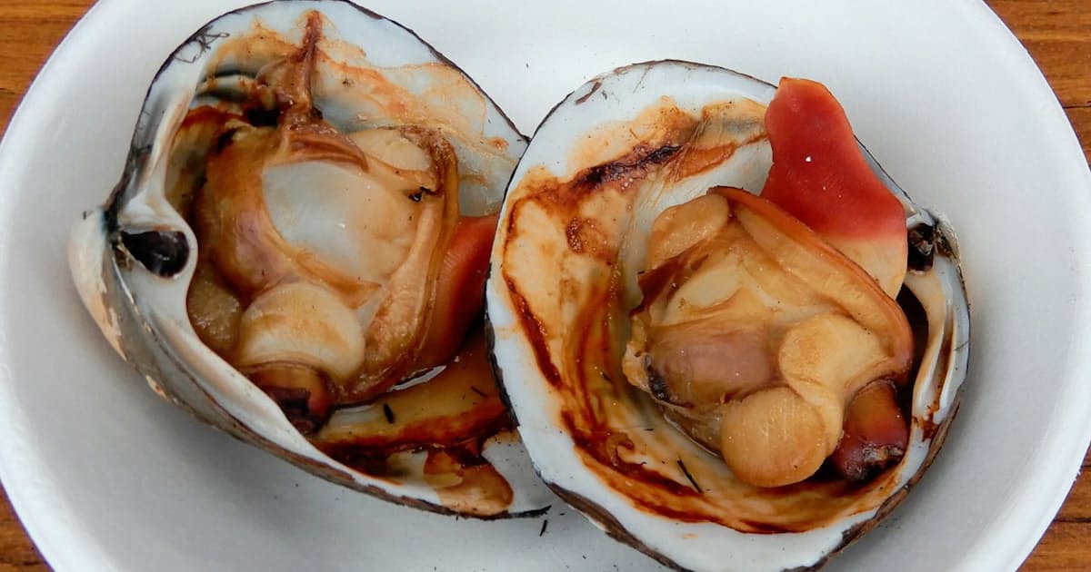 ホッキは貝の王様 香ばしく濃厚なうまみ 日本経済新聞 ホッキは貝の王様 香ばしく濃厚なうまみ 日本経済新聞