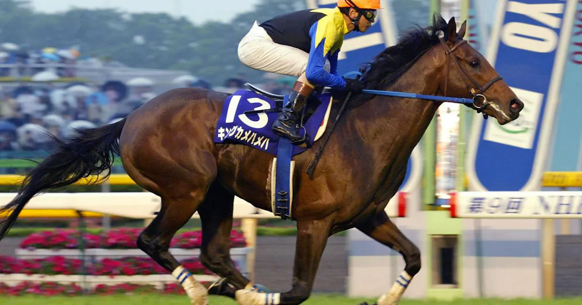 キングカメハメハが死ぬ 18歳 04年ダービー馬 日本経済新聞 キングカメハメハが死ぬ 18歳 04年ダービー馬 日本経済新聞